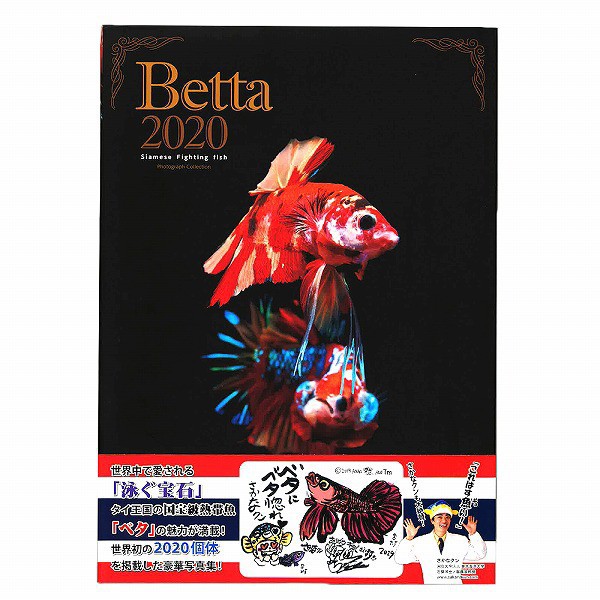 Betta2020 