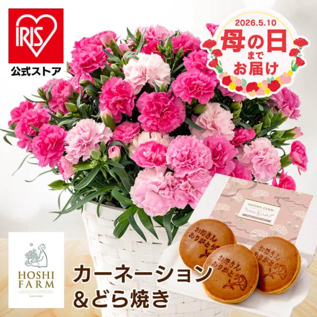 �J�[�l�[�V�������A���u�z�b�g�n�[�g�v�������Ȃ�Ƌ����̂ǂ�Ă�