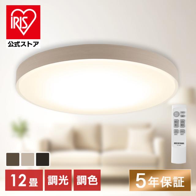 �V�[�����O���C�g<br>�y12��z