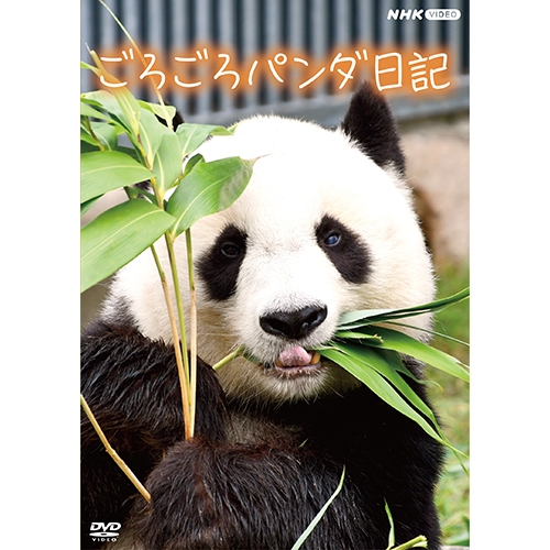 ���낲��p���_���L DVD �S2��