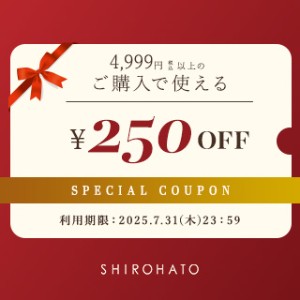 4999円で250円OFF100枚