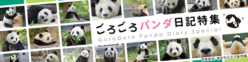 ���낲��p���_���L���W