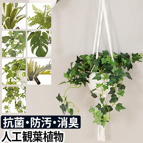 �G�N���A ���L�A�[�e�B�t�B�V�����O���[��