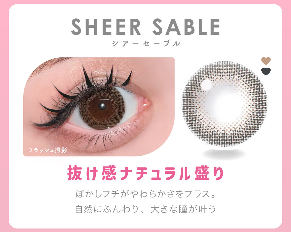 SHEER SABLE �V�A�[�Z�[�u�� �������i�`����������