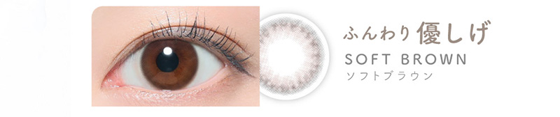 �ӂ���D���� SOFT BROWN �\�t�g�u���E��