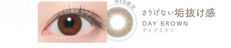 WEB����@���肰�Ȃ��C�������@DAY BROWN�@�f�C�u���E��