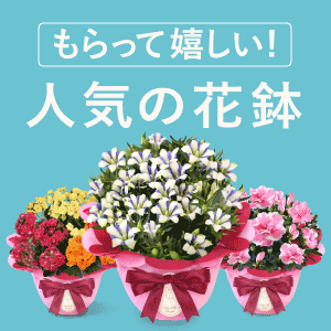 �Ԕ�