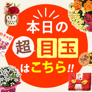 ���ڋ�