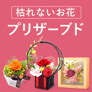 �v���U�[�u�h�t�����[