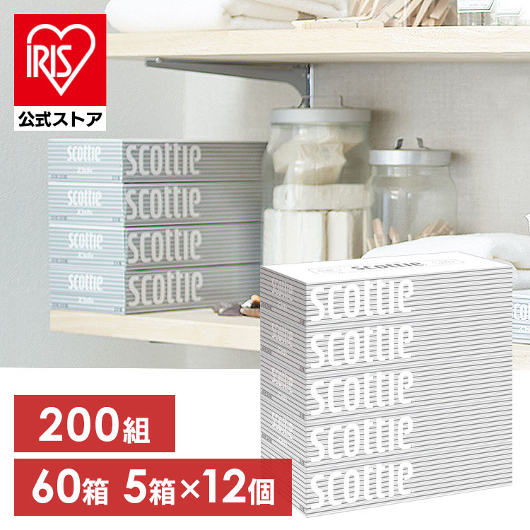 BOX�e�B�b�V�� <br>5���~12�� ���i�摜
