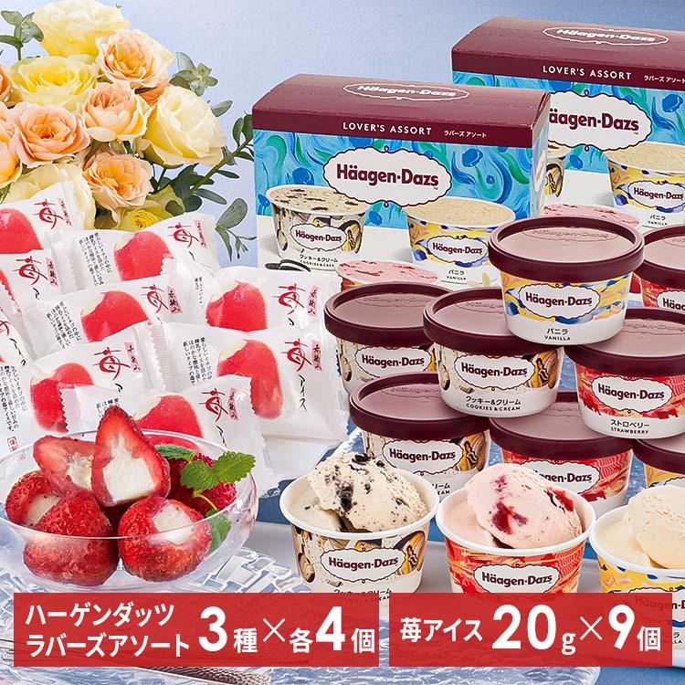 n[Q_bc䕃ACX A-HGR [s] ACXN[  n[Q_bc Zbg 킢 Mtg C`S{ACX XC[c j mَq 