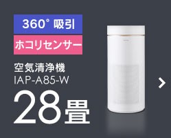 C@ 28 IAP-A85-W