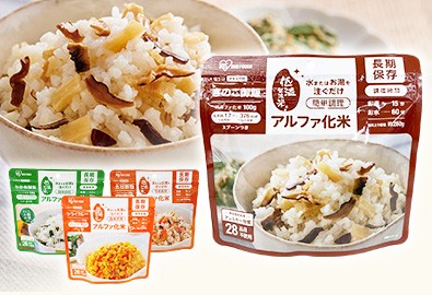 非常食 アルファ化米 10食セット