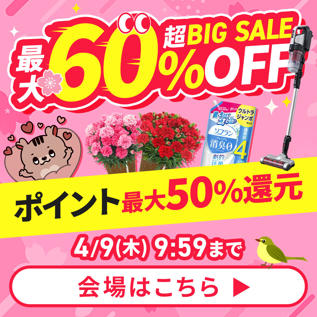 ��BIG SALE �摜