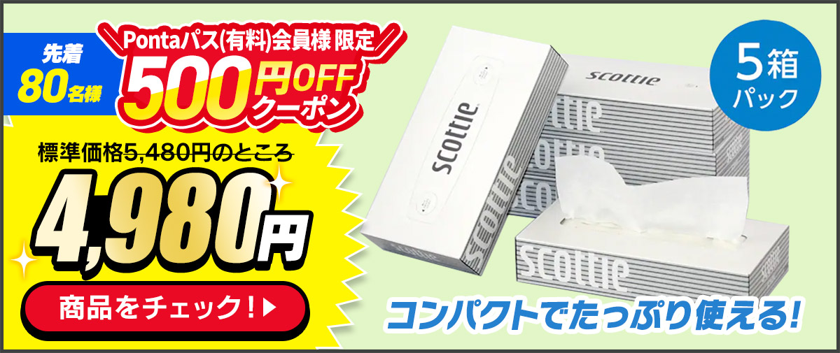 �e�B�b�V���y�[�p�[�y5���~12�z