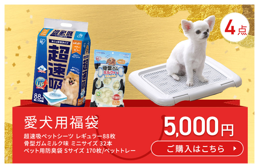 �����p  ���i�摜