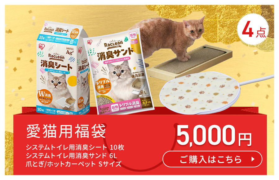 ���L�p  ���i�摜