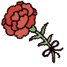 �J�[�l�[�V����