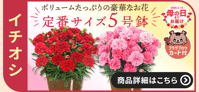 �����E�����Ɋւ��邲�ē�