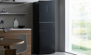 �①�ɁE�Ⓚ�� �J�e�S���摜