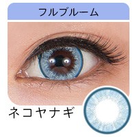 フルブルーム ネコヤナギ ねこやなぎ みずいろ 水色 水彩 透き通る コスプレカラコン