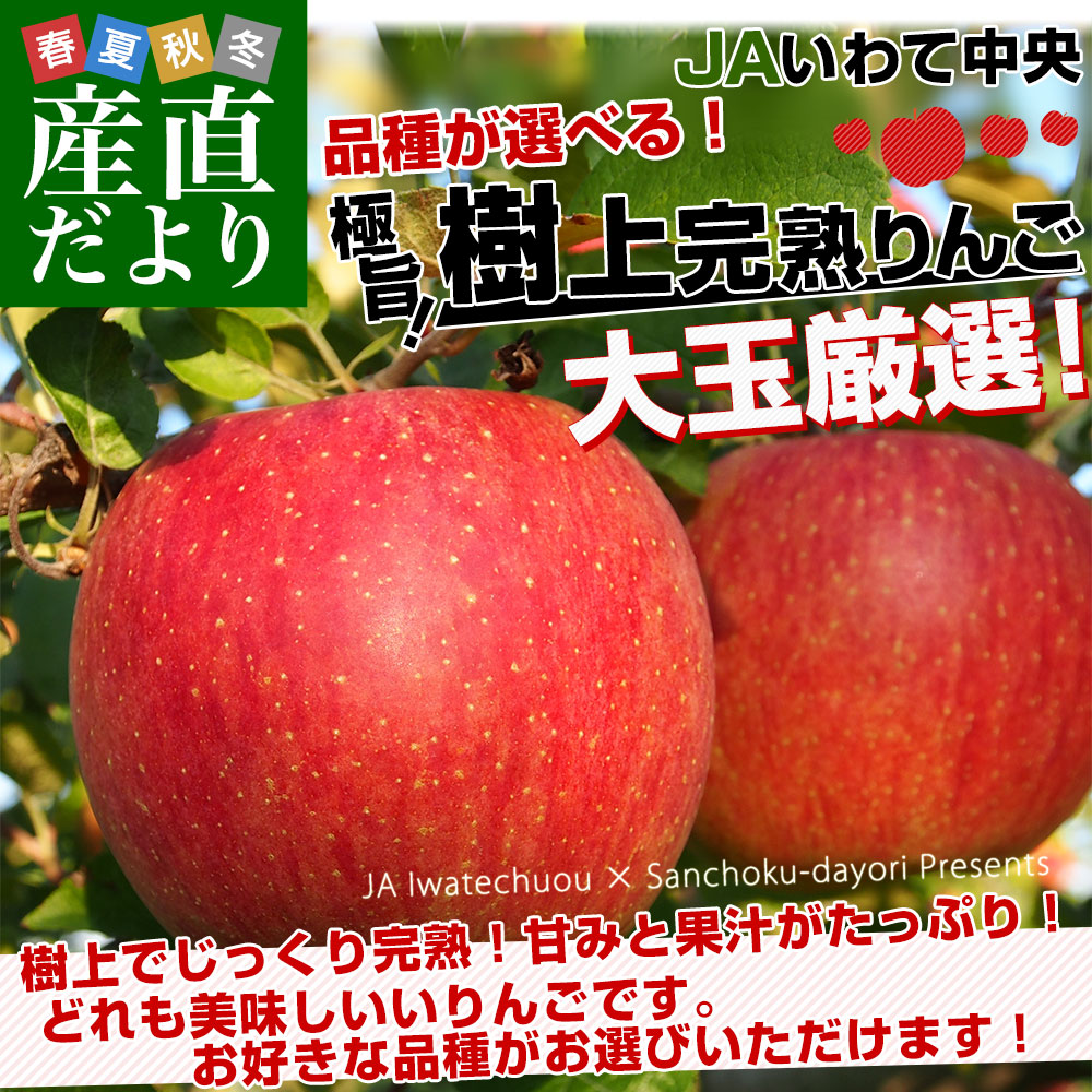 岩手樹上完熟りんご 約2.8キロ