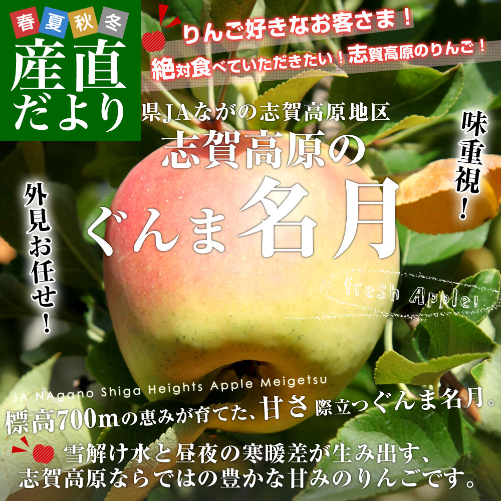 志賀高原のぐんま名月3キロ