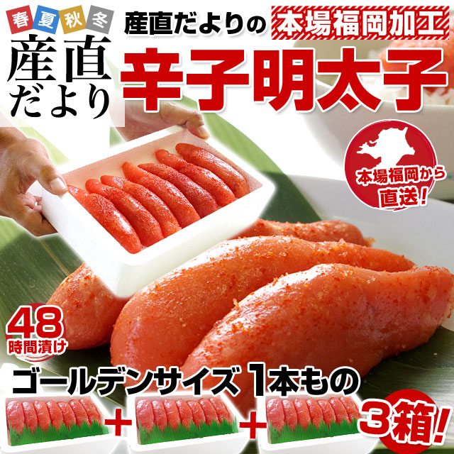 H hqq S[fTCY ɑ1{ 260g