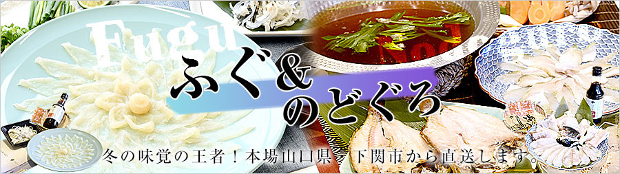 �~�̖��o�̉��ҁI�V�R�g���t�O���̂ǂ���I