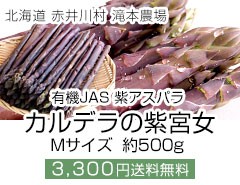 {AXp