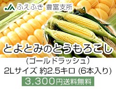 LxƂ낱