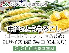 Ƃ낱