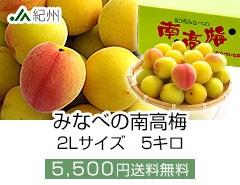 썂~2L5L