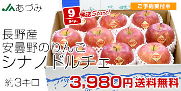 シナノドルチェ