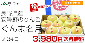 ぐんま名月