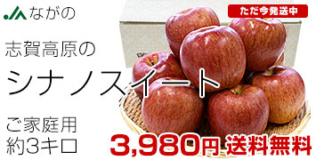 志賀高原のシナノスイート3キロ