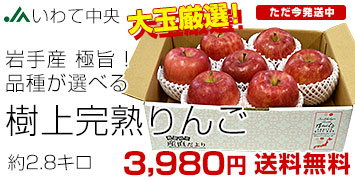 いわて選べるりんご大玉