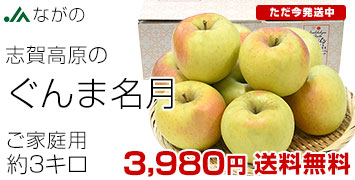 志賀高原のぐんま名月3キロ