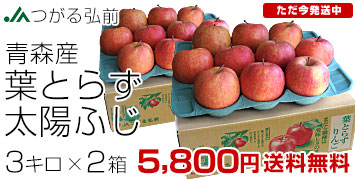 ���z�ӂ�2��