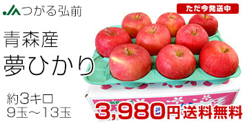 夢ひかり