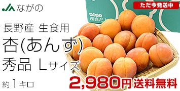 쌧Y1kg