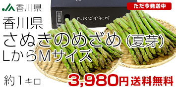 さぬきのめざめ夏芽LM1kg