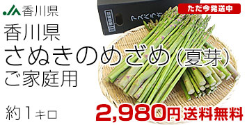 訳アリさぬきのめざめ夏芽1kg