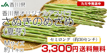 さぬきのめざめ夏芽セミロングM1kg