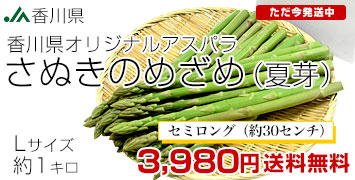 さぬきのめざめ夏芽セミロングL1kg