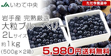 2L500g2