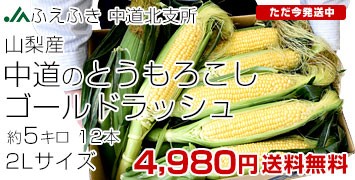 5L
