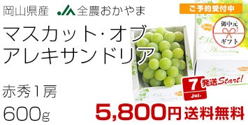 RAL600g