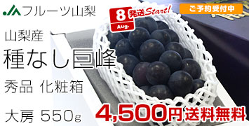 山梨露地巨峰1房
