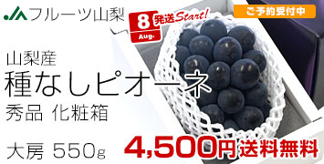 山梨露地ピオーネ1房